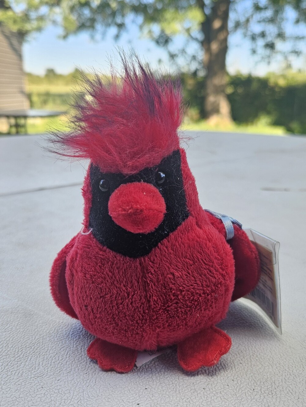 Lil KINZ cardinal With Sealed Tag HS503
